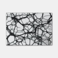 Neurones