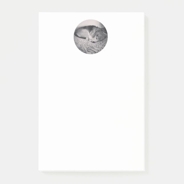 Post-it® note de post-it de beagle (Devant)