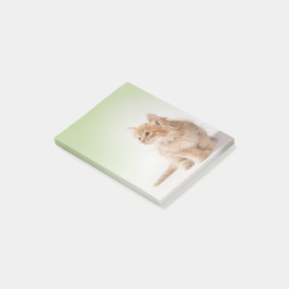 Post-it® Note de post-it de chaton