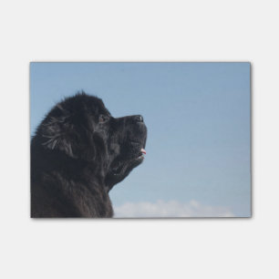 Post-it® Note de post-it réfléchie d'Inka