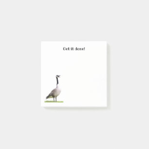 Post-it® Notes d'affinage des oies du Canada