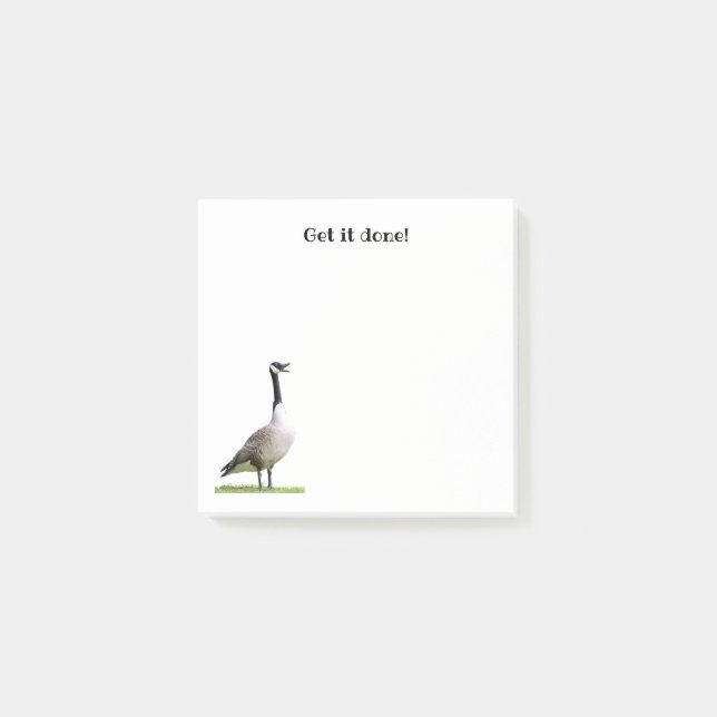 Post-it® Notes d'affinage des oies du Canada (Devant)