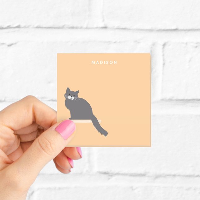 Post-it® Notes de chat gris duveteux mignon avec nom (Créateur téléchargé)
