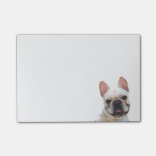 Post-it® Notes de post-it de bouledogue français