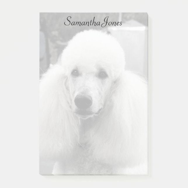 Post-it® Notes de post-it de chien de caniche (Devant)