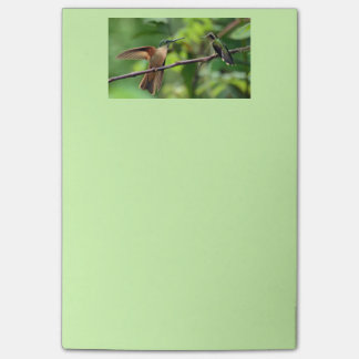 Post-it® Notes de post-it de colibri