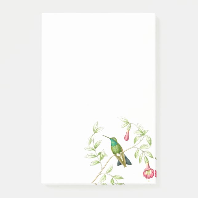 Post-it® Notes de post-it de colibris de Goulds (Devant)