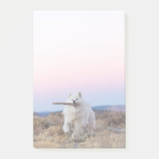 Post-it® Notes de post-it du gestionnaire de succursales 4 