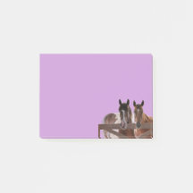 Post it notes Pferde