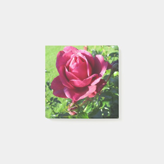 Post-it® Notes post-it (Devant)