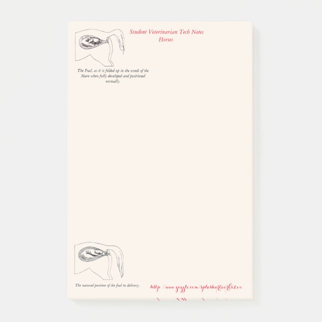 Post-it® "Notes vétérinaires de technologie " (Devant)