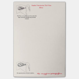 Post-it® "Notes vétérinaires de technologie "