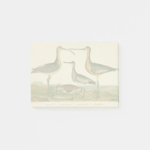 Post-it® Oiseaux de marais Courlis Oiseaux