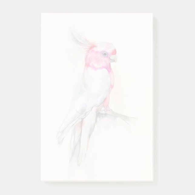 Post-it® Opera Cockatoo (Devant)