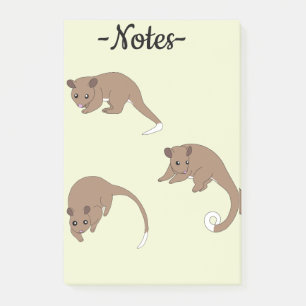 Post-it® Opossums à queue annelée