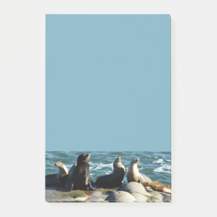 Post-it® Otaries de San Diego