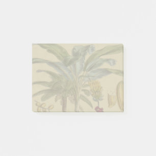 Post-it® Palm Antique Fruit Tropical Art Botanique