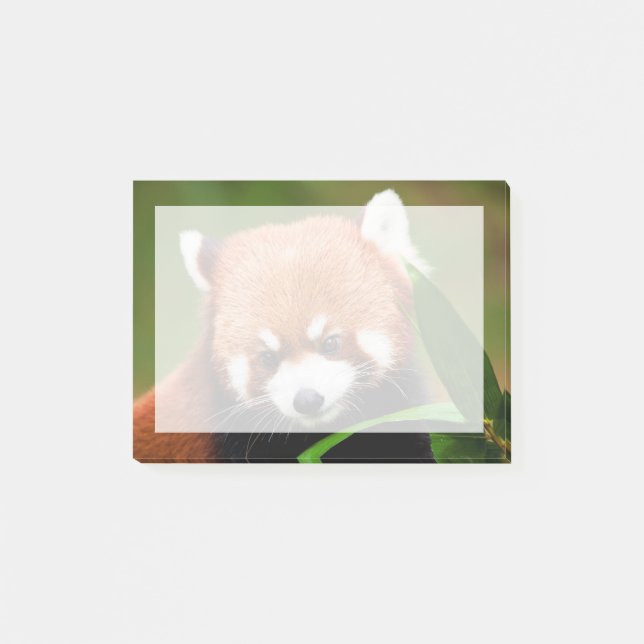 Post-it® Panda roux mignon (Devant)