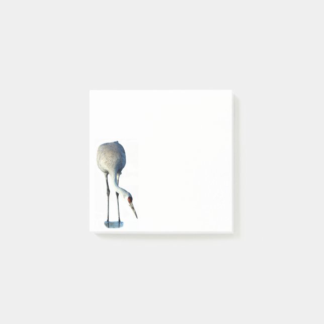 Post-it® Papeterie photo Sandhill Crane 3x3 Post-it Notes (Devant)