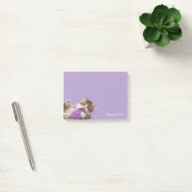 Papier autocollant mignon chaton Restez Positive