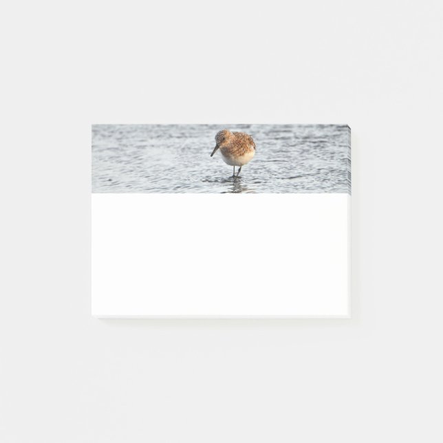 Post-it® Papier photo Sandpiper Bird 4x3 Post-it Notes (Devant)
