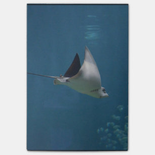 Post-it® Pastenague extraordinaire
