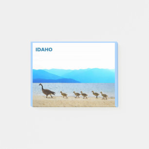 Post-it® Patrouille côtière - Oies du Canada