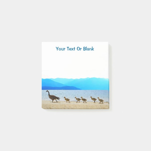 Post-it® Patrouille côtière - Oies du Canada (Devant)