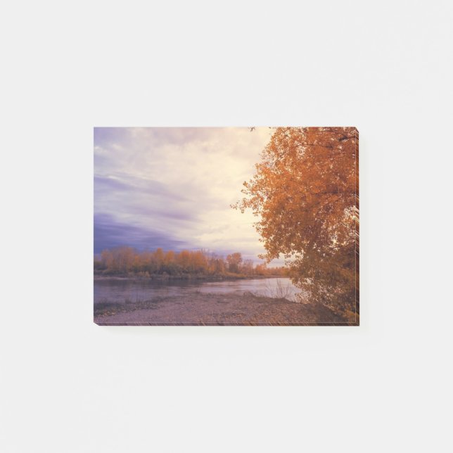 Post-it® Paysage d'automne (Devant)