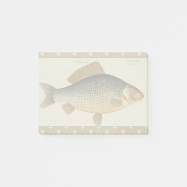 Post-it® Pêche à la carpe peinture à l'eau douce (Devant)