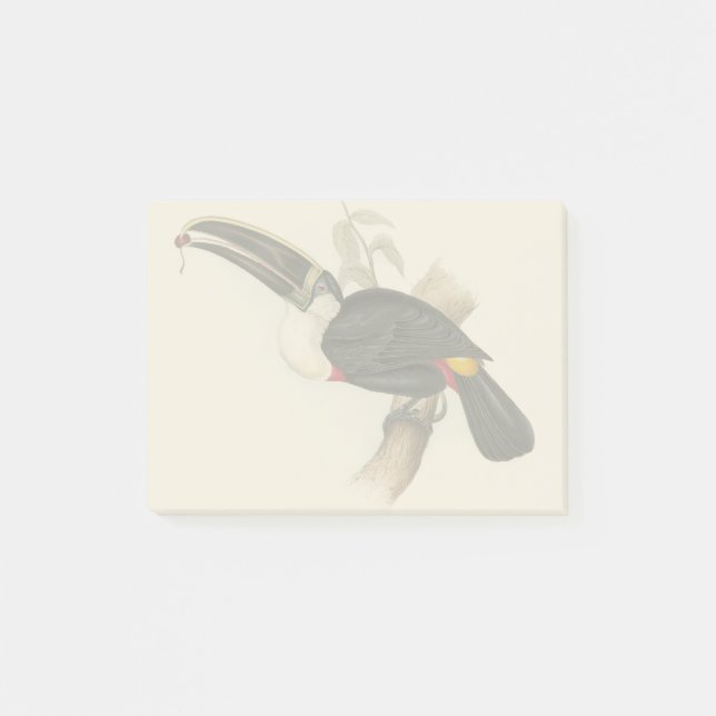 Post-it® Peinture animalière d'antiquités Toucans (Devant)