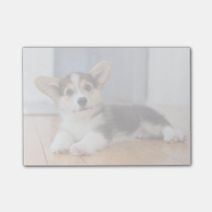 Post-it® Pembroke Welsh Corgi Puppy