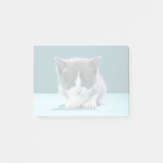 Post-it® Petit chaton (Devant)
