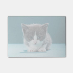 Post-it® Petit chaton