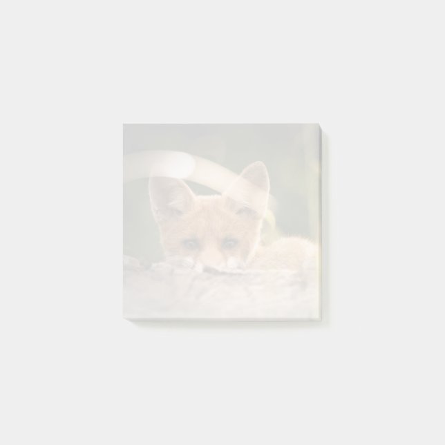 Post-it® Photo de Cute Little Orange Fox (Devant)