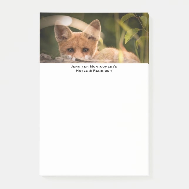 Post-it® Photo de Cute Little Orange Fox (Devant)
