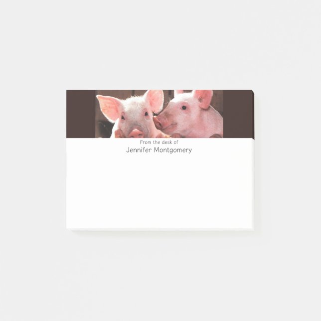 Post-it® Photo d'un animal de porcelets roses mignons (Devant)