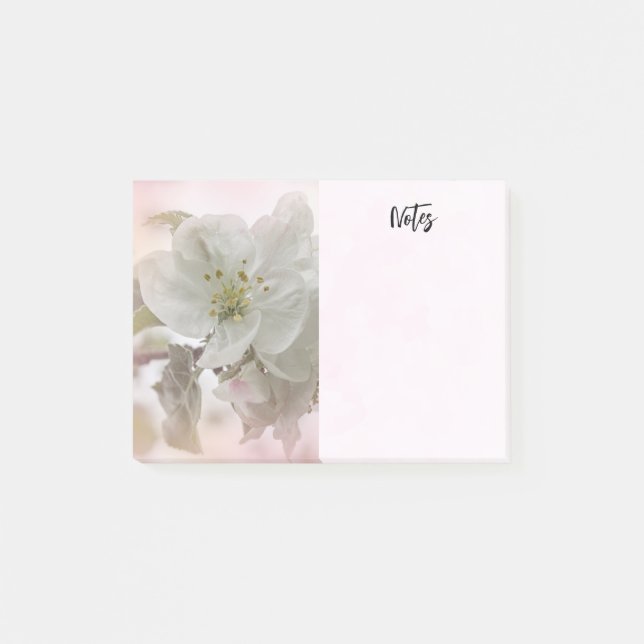 Post-it® Photo en fleurs de pomme blanche (Devant)