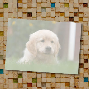 Post-it® Photo personnalisée Convertir automatiquement vo