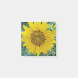 Post-it® Photo tournesol