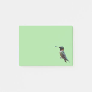 Post-it® Photographie de colibris à gorge rubis