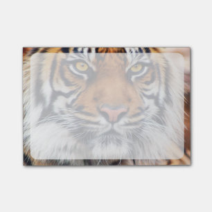 Post-it® Photographie masculine de peinture de tigre