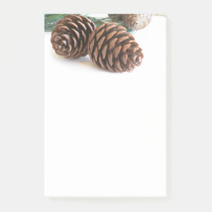 Post-it® Pine branch and cones