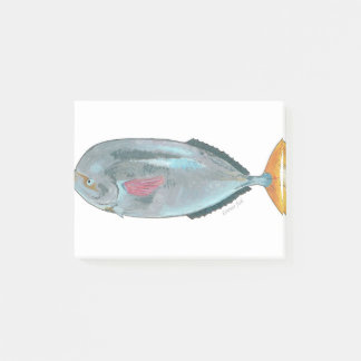 Post-it® poissons louvar