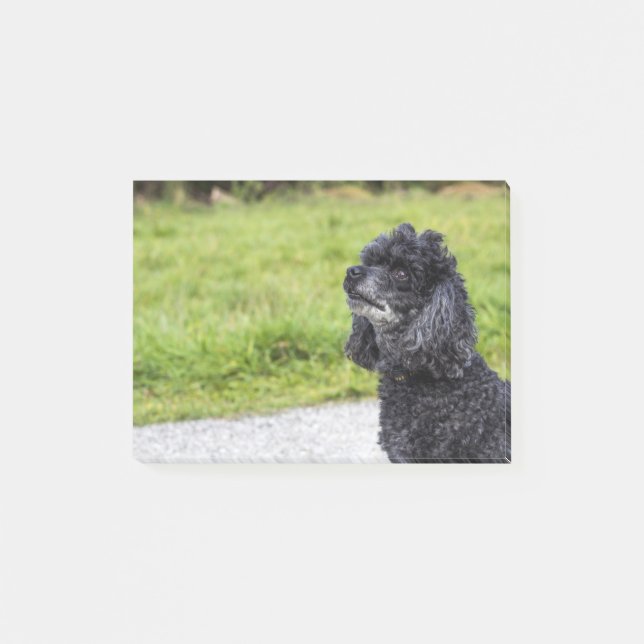 Post-it® Poodle noir 2 (Devant)