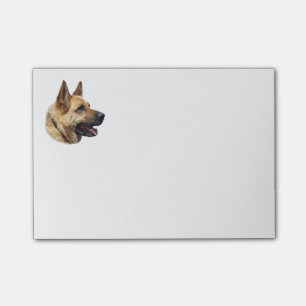Post-it® Portrait alsacien de berger allemand