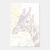 Portrait de Giraffe