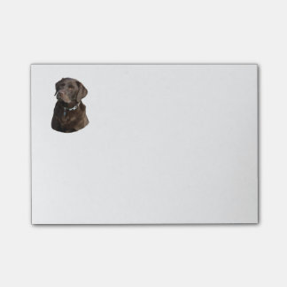 Post-it® Portrait de photo de chien de Labrador de chocolat