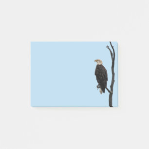 Post-it® Post it note Eagle