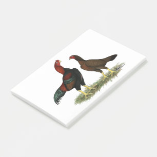 Post-it® Poules Aseel Black Red